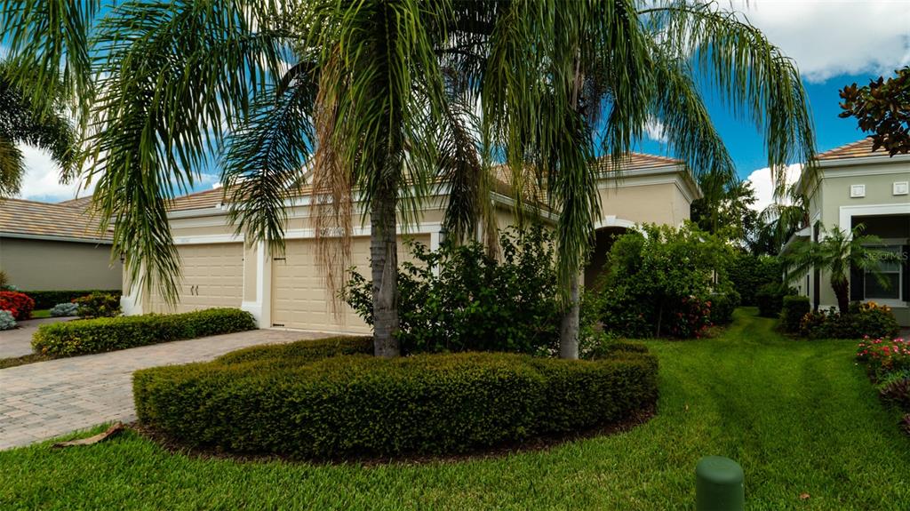 a view of a yard in front of a house