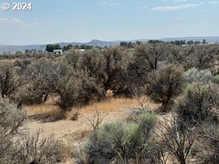 a view of a bunch of trees in a field