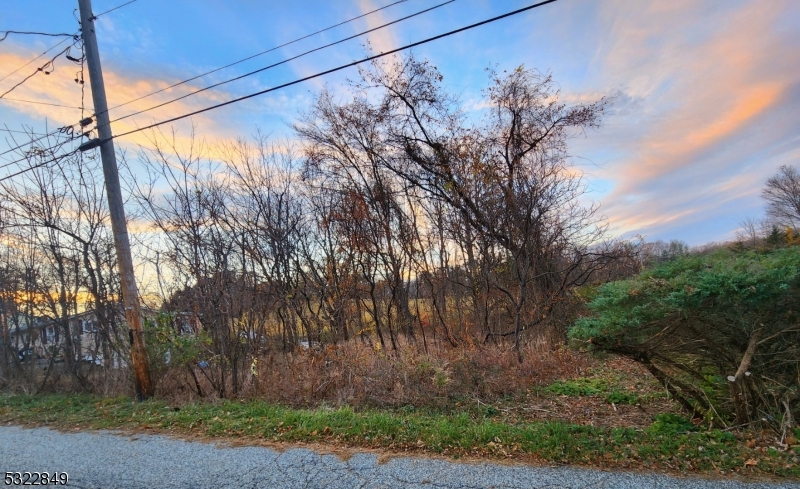 a view of a yard