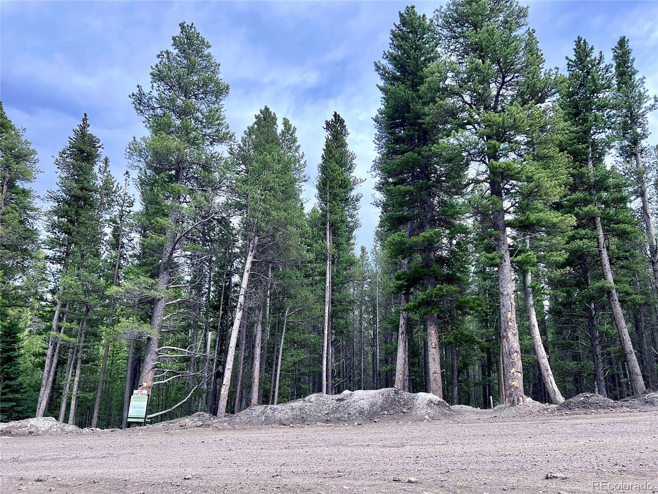 a view of a road with trees