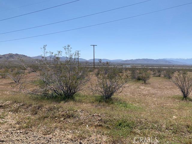 a view of a dry yard with wooden fence