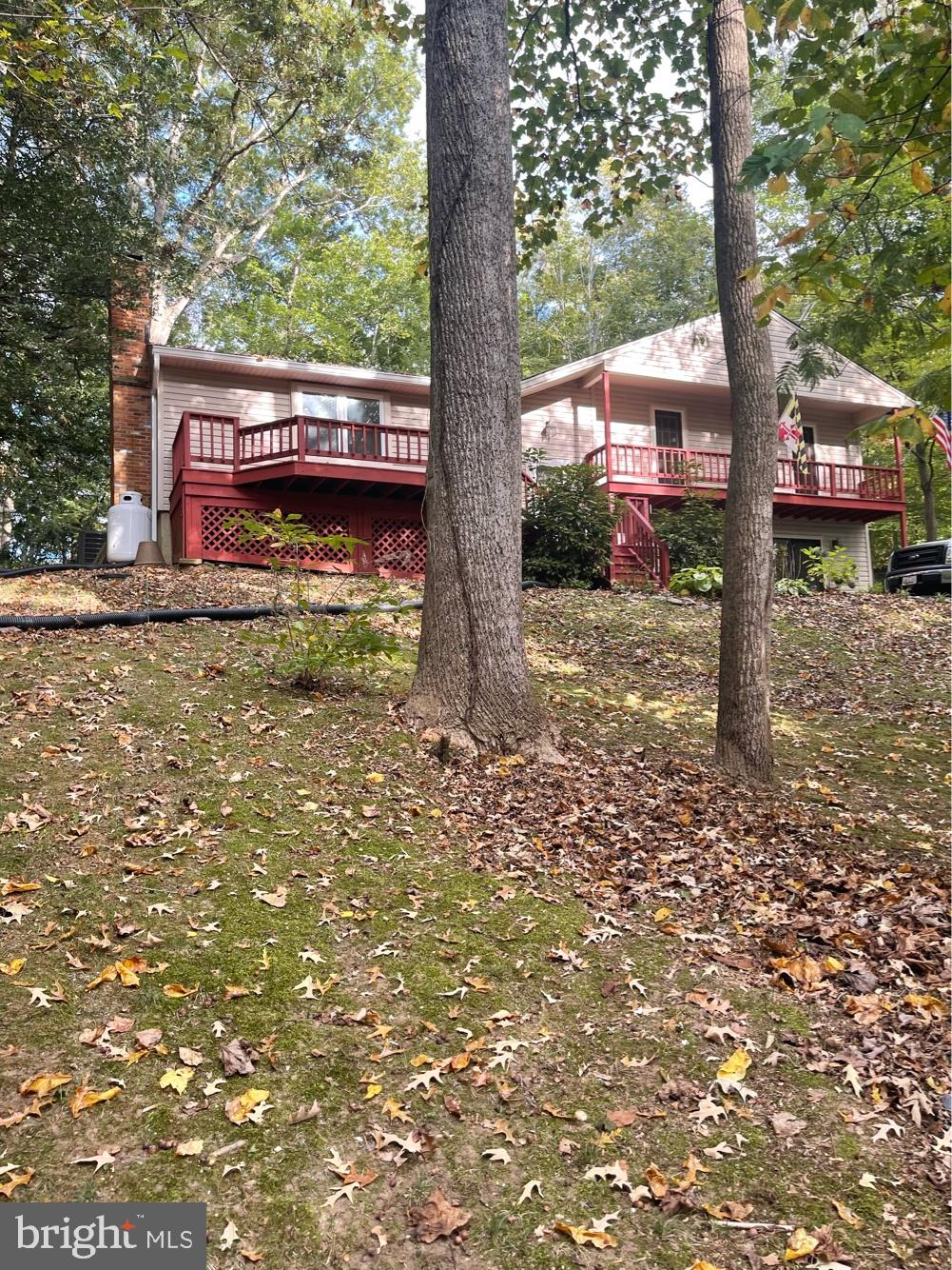 a view of a house with a tree in the yard