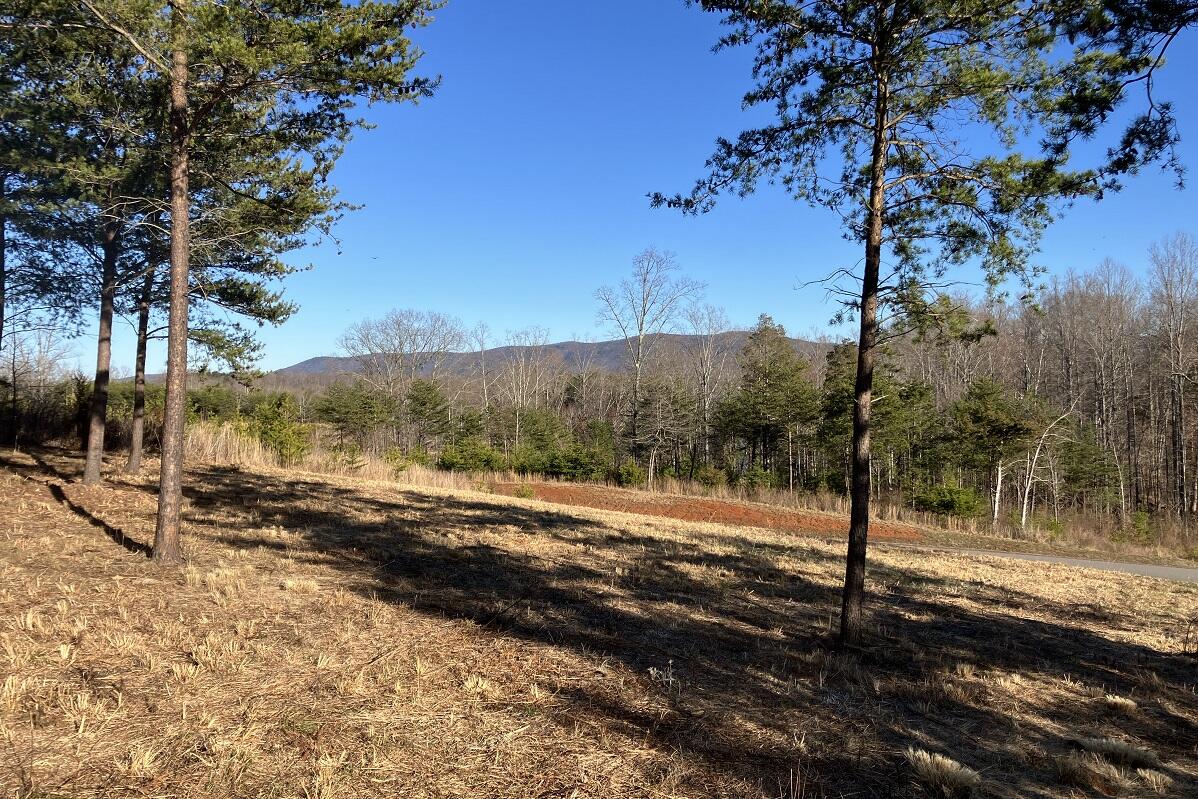 a view of a yard with mountain view