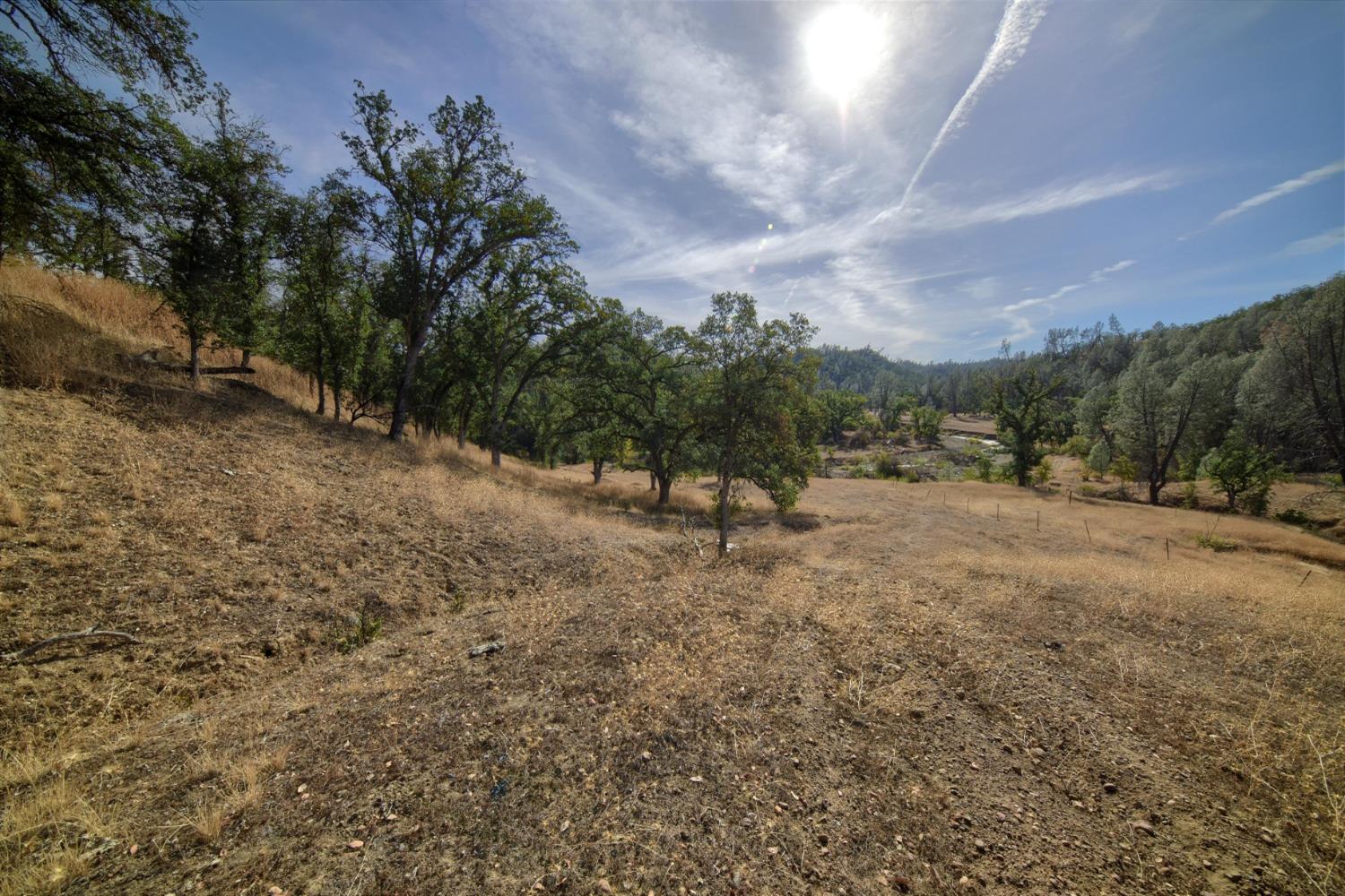 a view of outdoor space with green field and trees