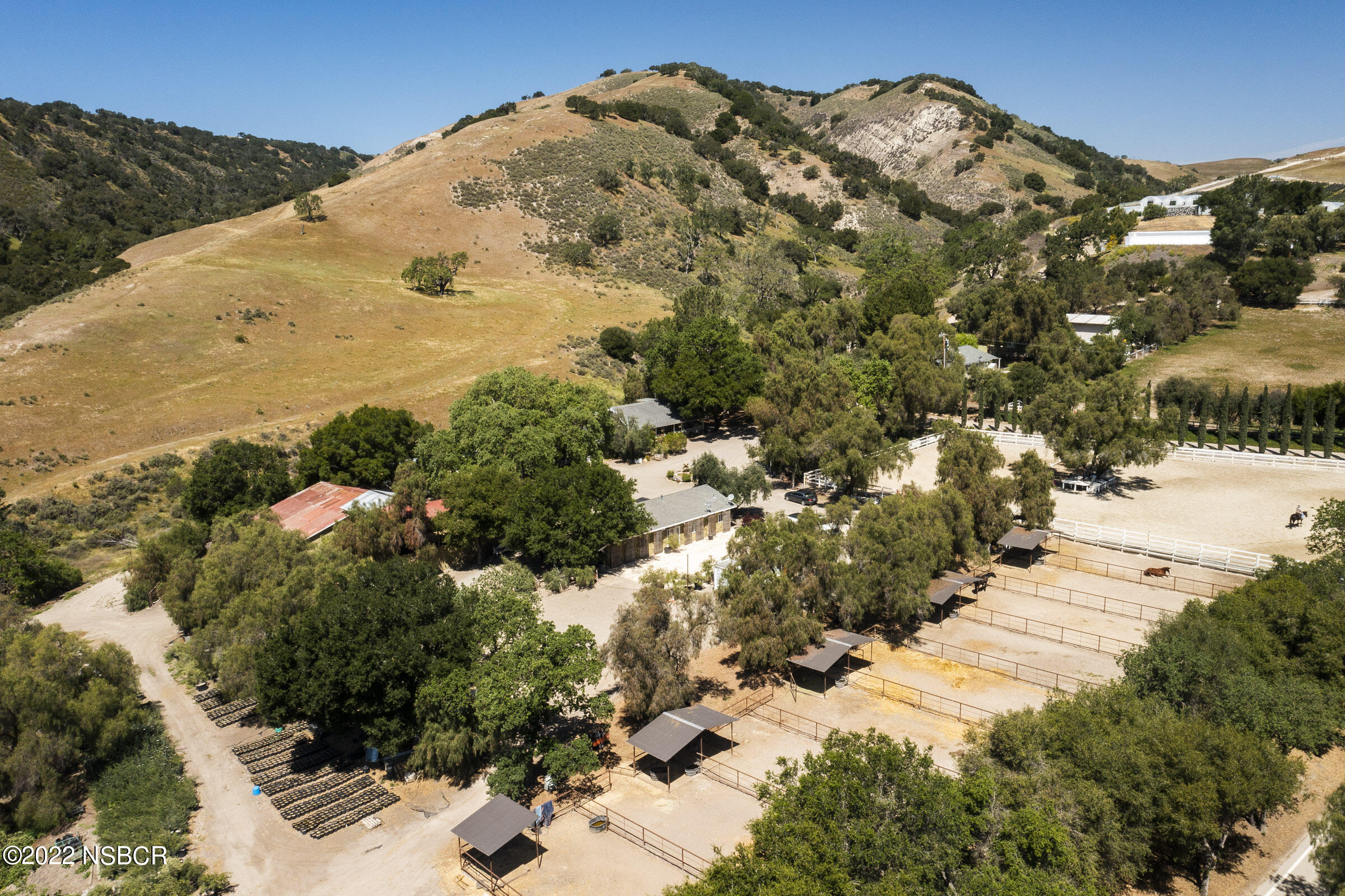 a view of a yard