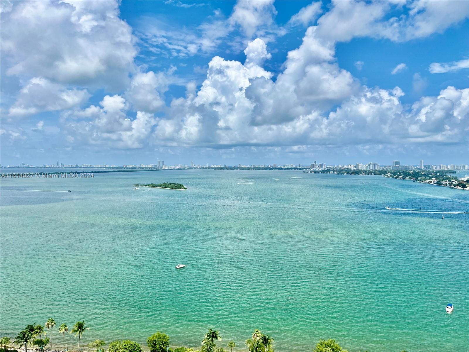 a view of a field of an ocean