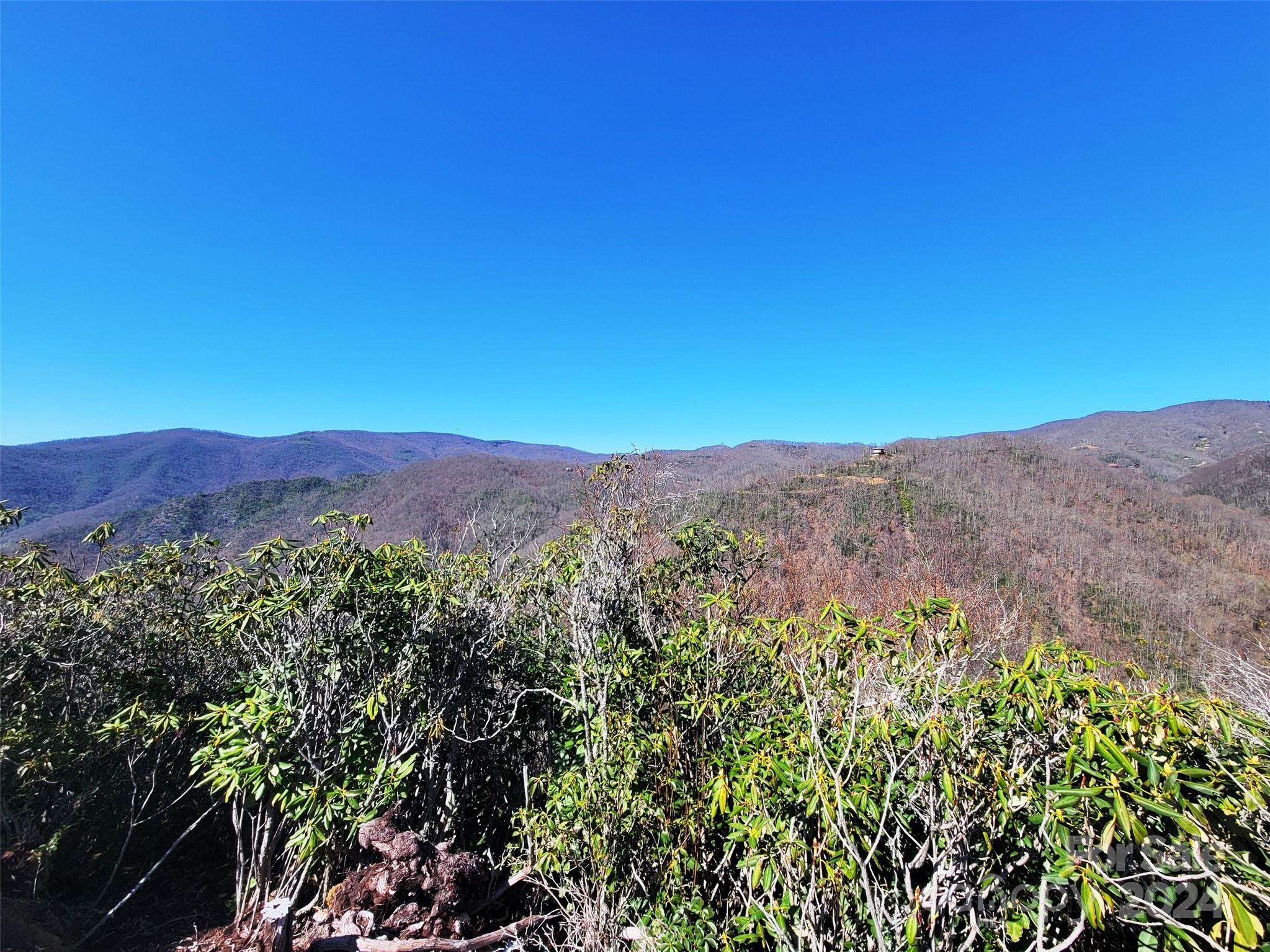 a view of a mountain range with a lush green forest