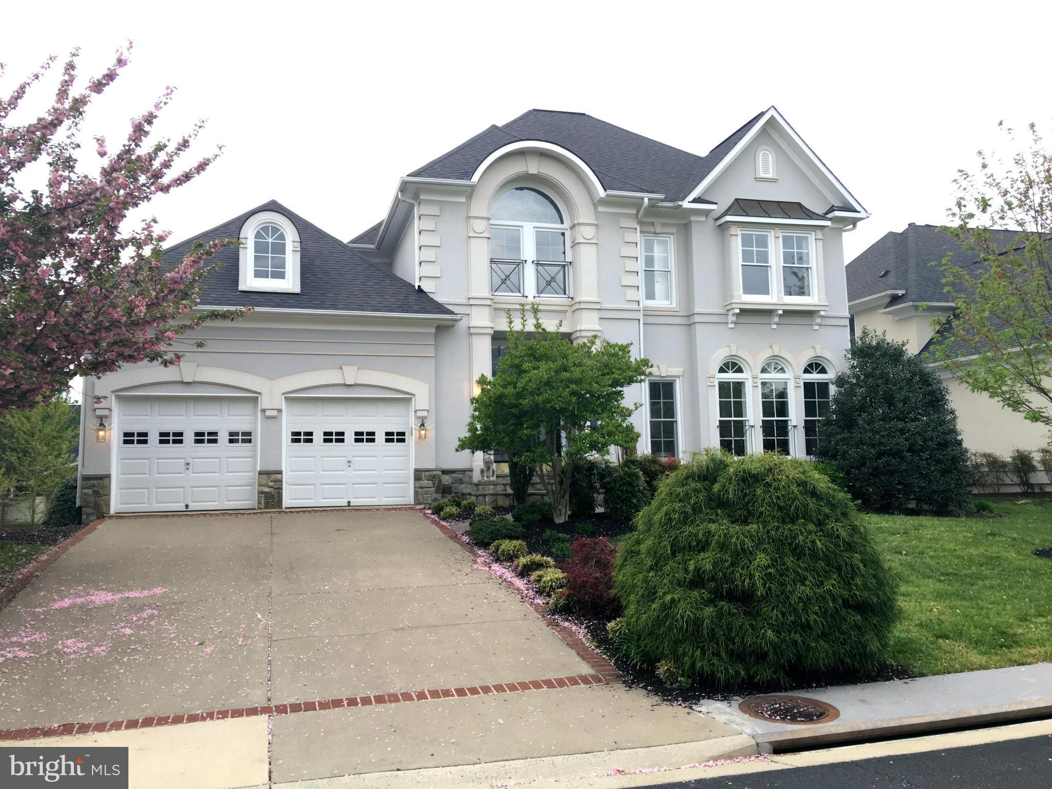 a view of a big house with a yard and plants