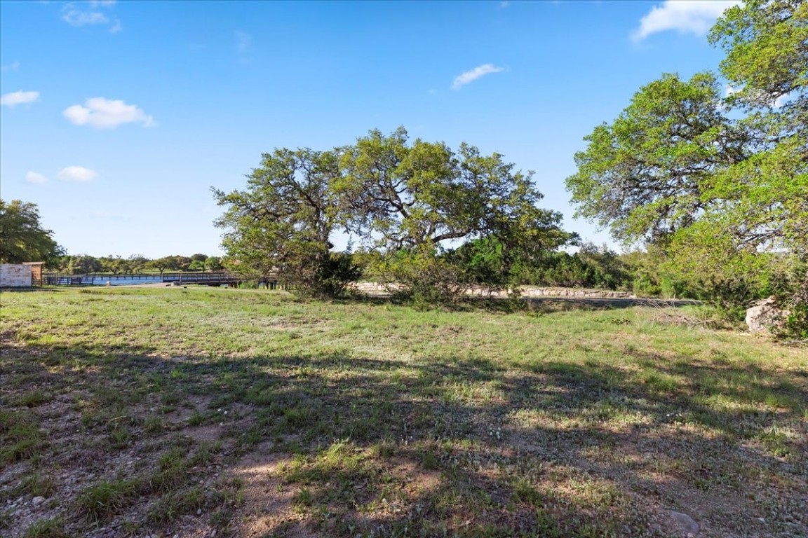 a view of a field with an ocean