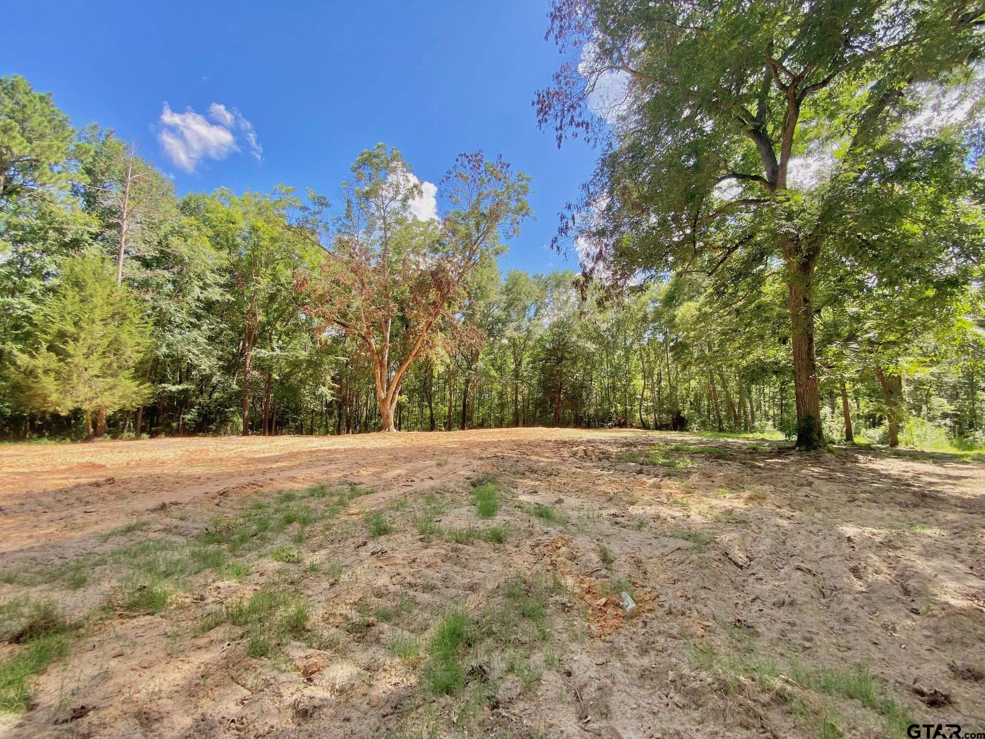 a view of a yard with a tree