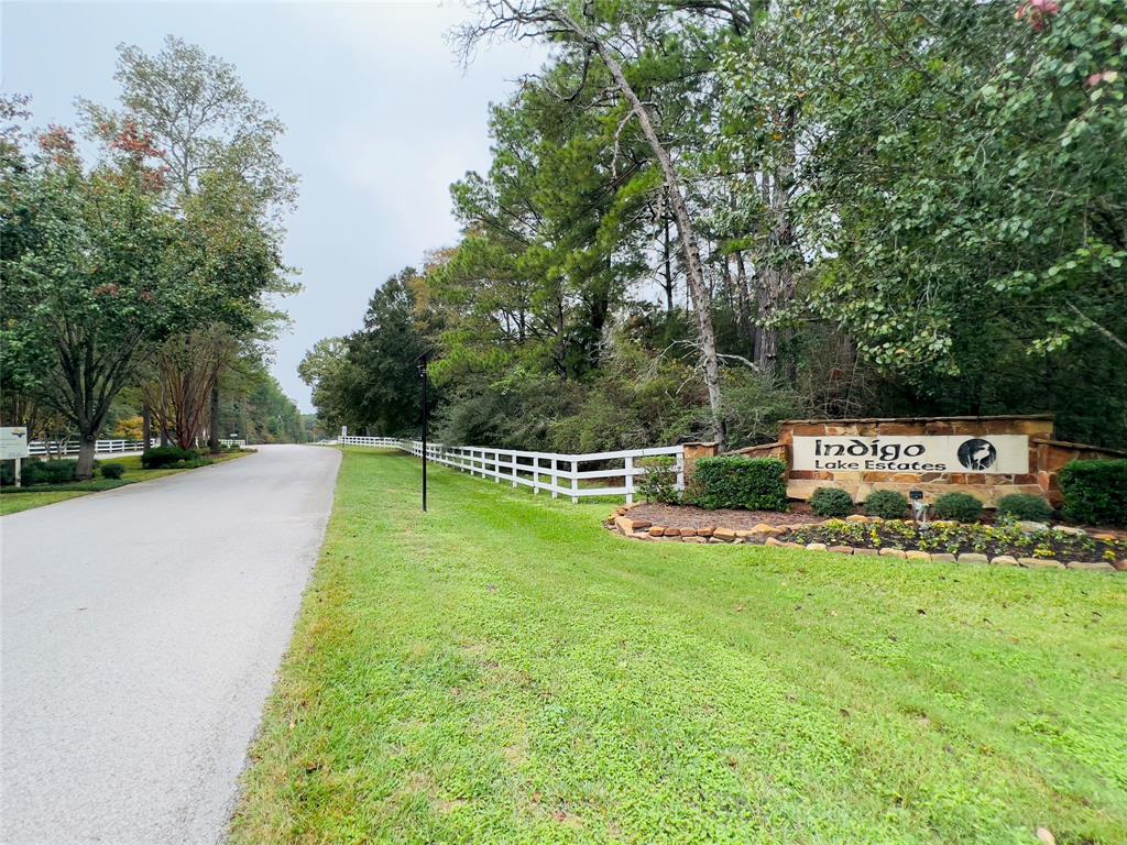 a view of a park with large trees