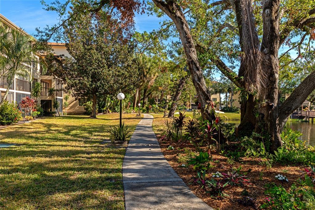 a view of yard with tree