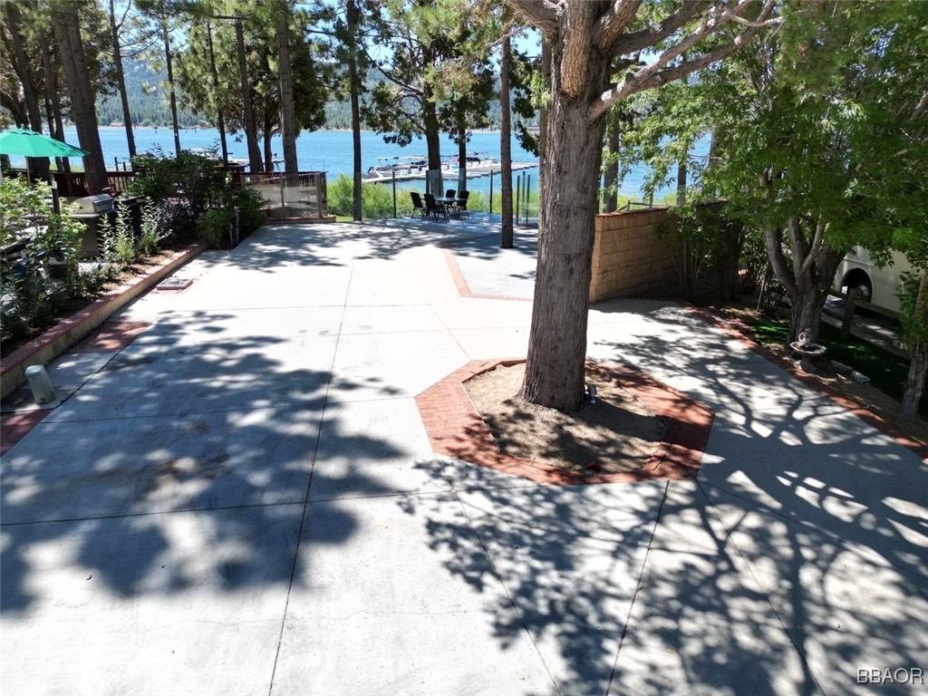 a view of a yard with plants tree