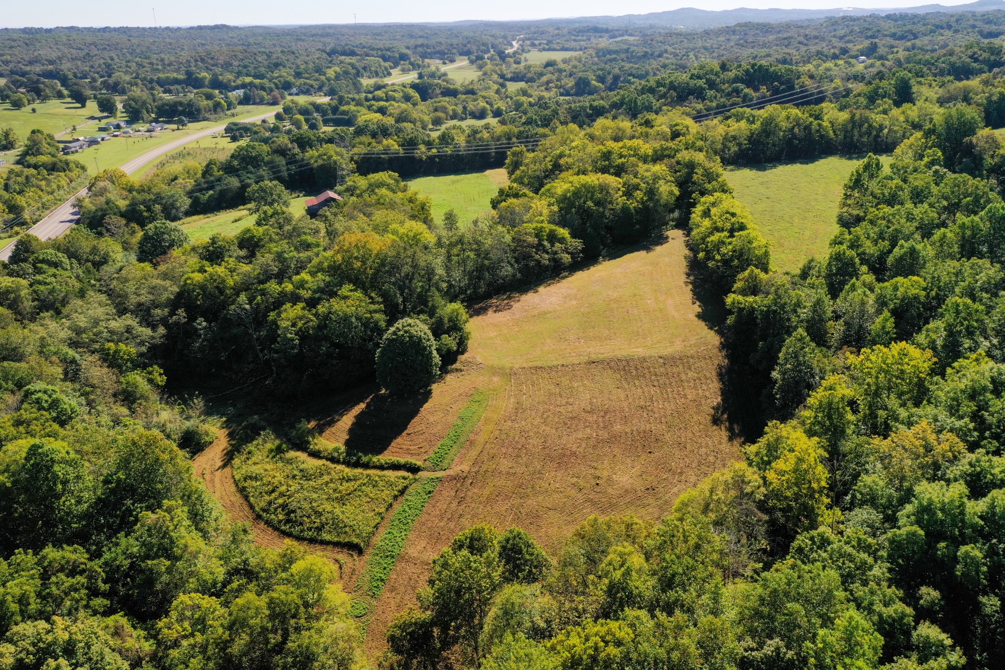 an aerial view of residential houses with outdoor space and trees