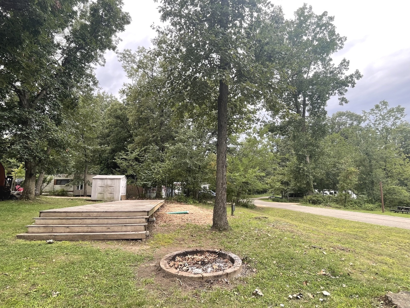 a garden view with a fountain