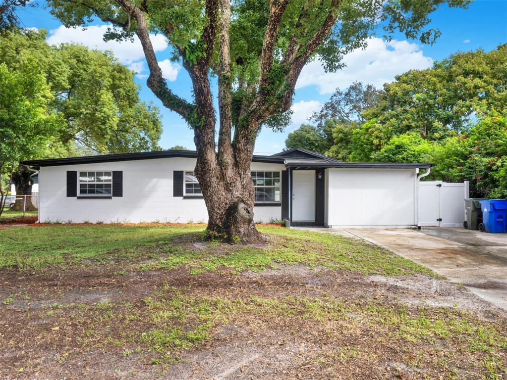 a house with a tree in front of it