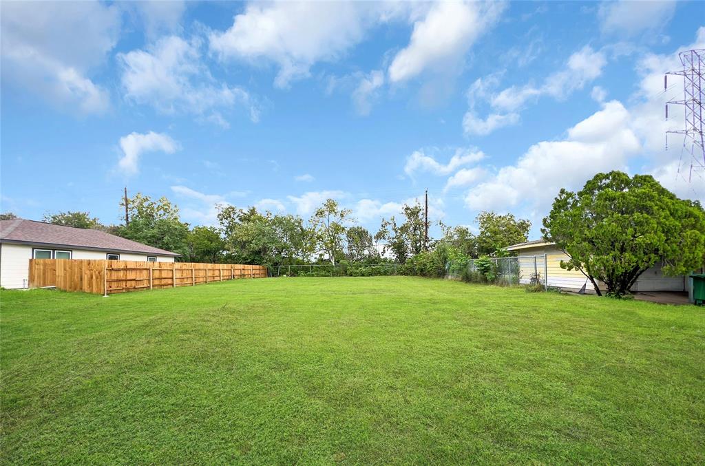 a view of a big yard with plants and large trees