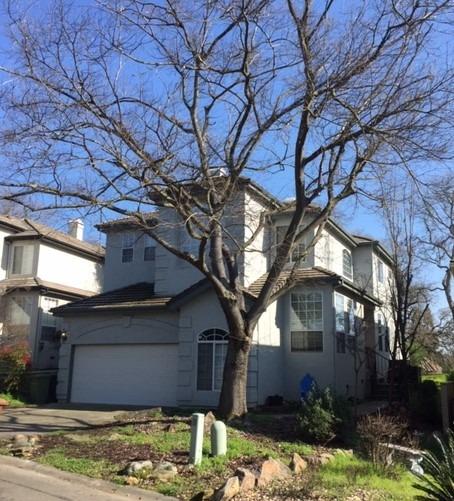 a house that has a tree in front of it