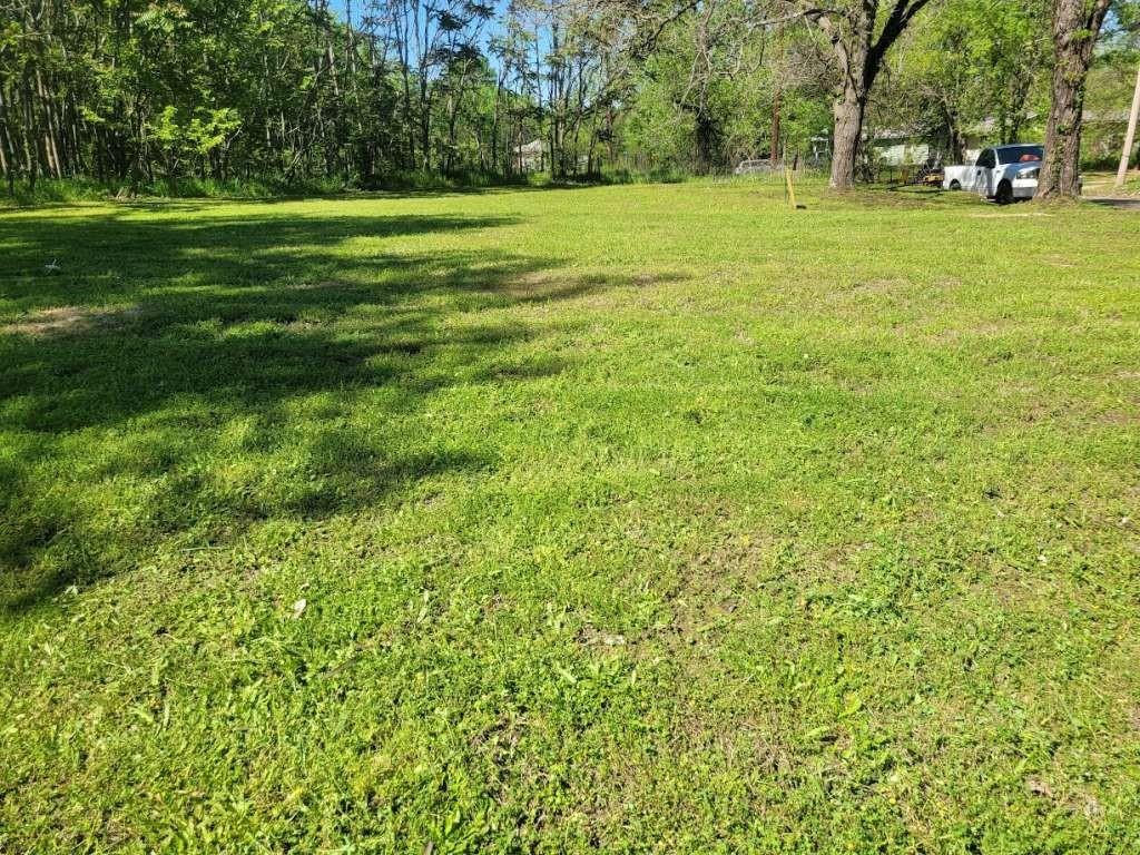 a view of a grassy field with trees