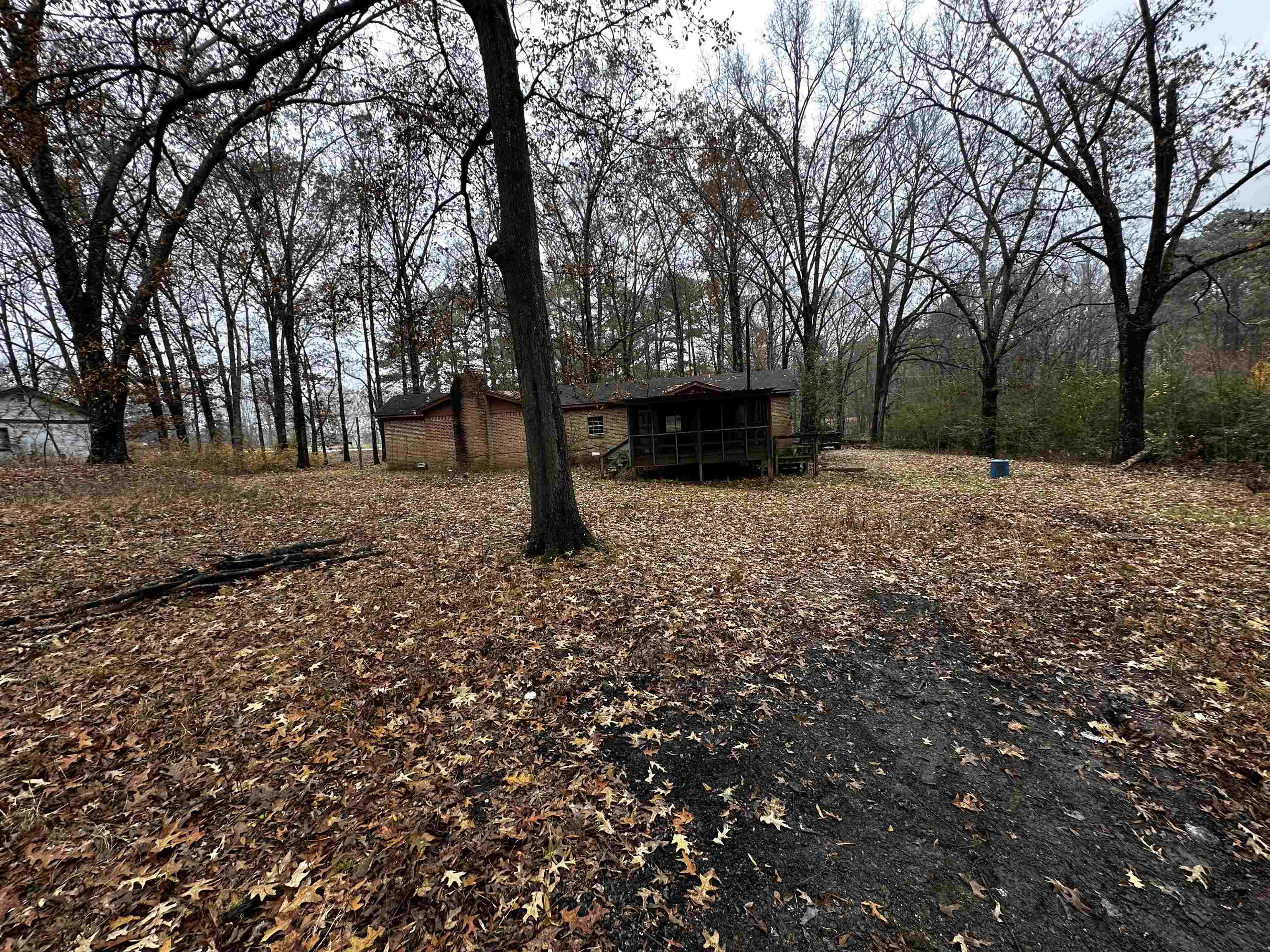 a view of a yard with a tree