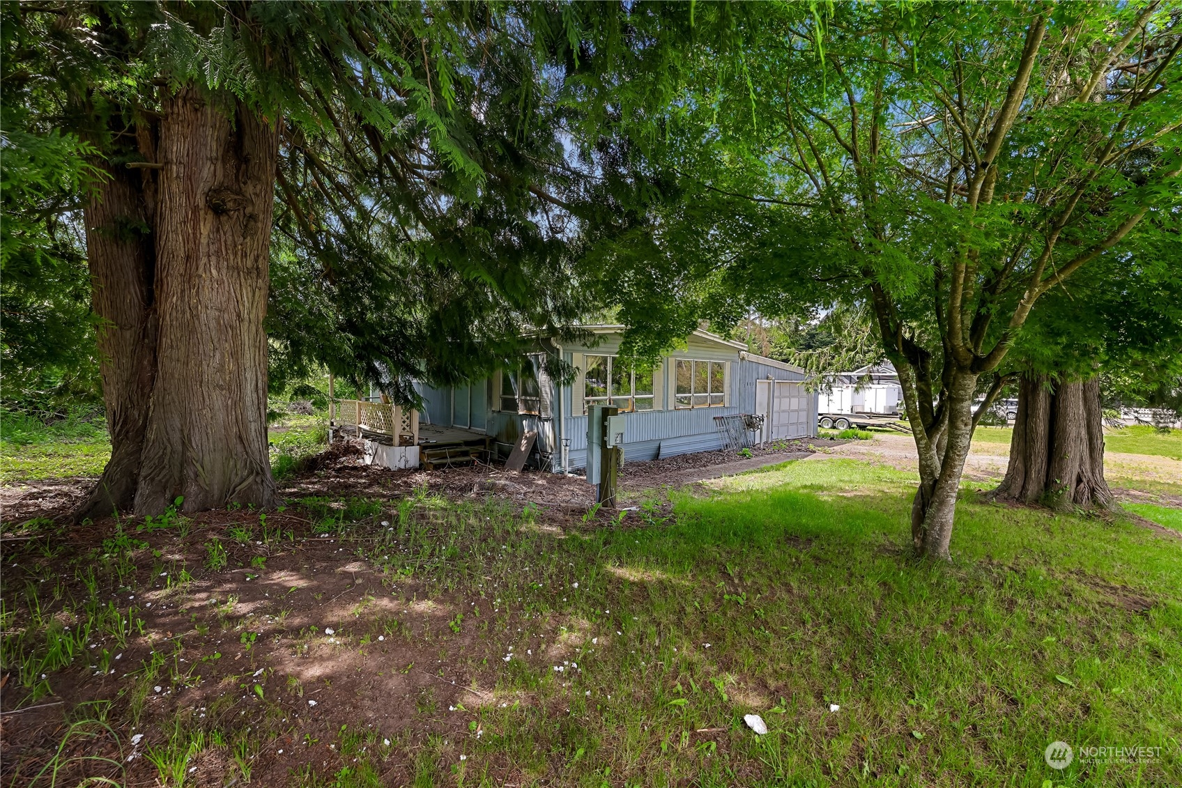 a view of backyard with tree