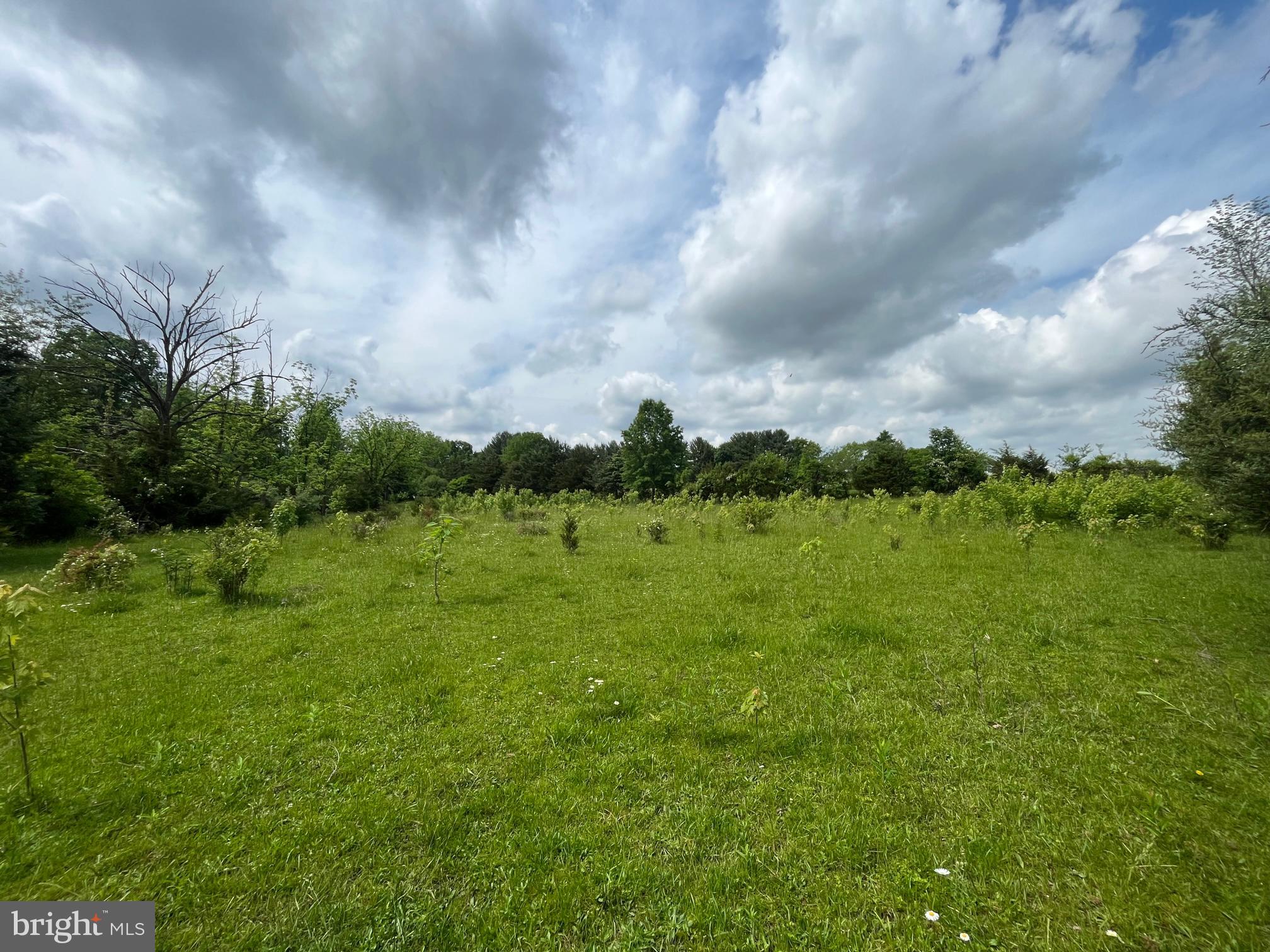 a view of a green field with lots of green space