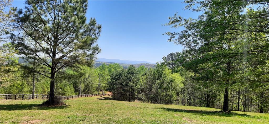 a view of outdoor space with trees all around