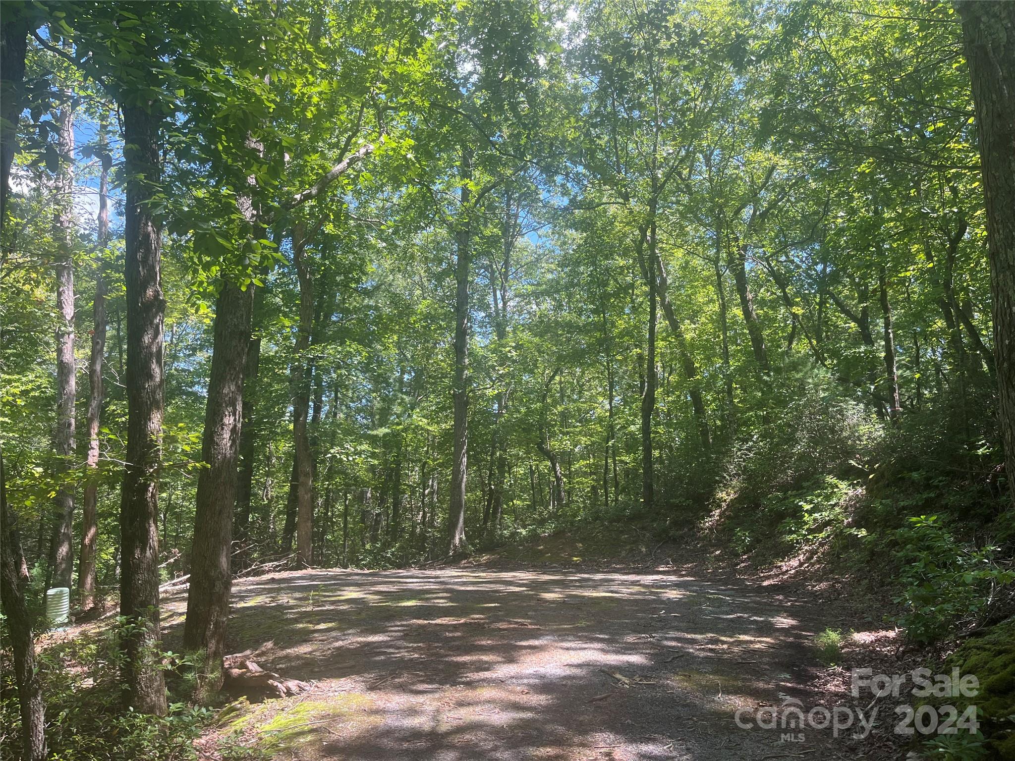 a view of outdoor space with trees