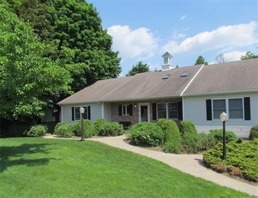 a view of a house with yard and plants