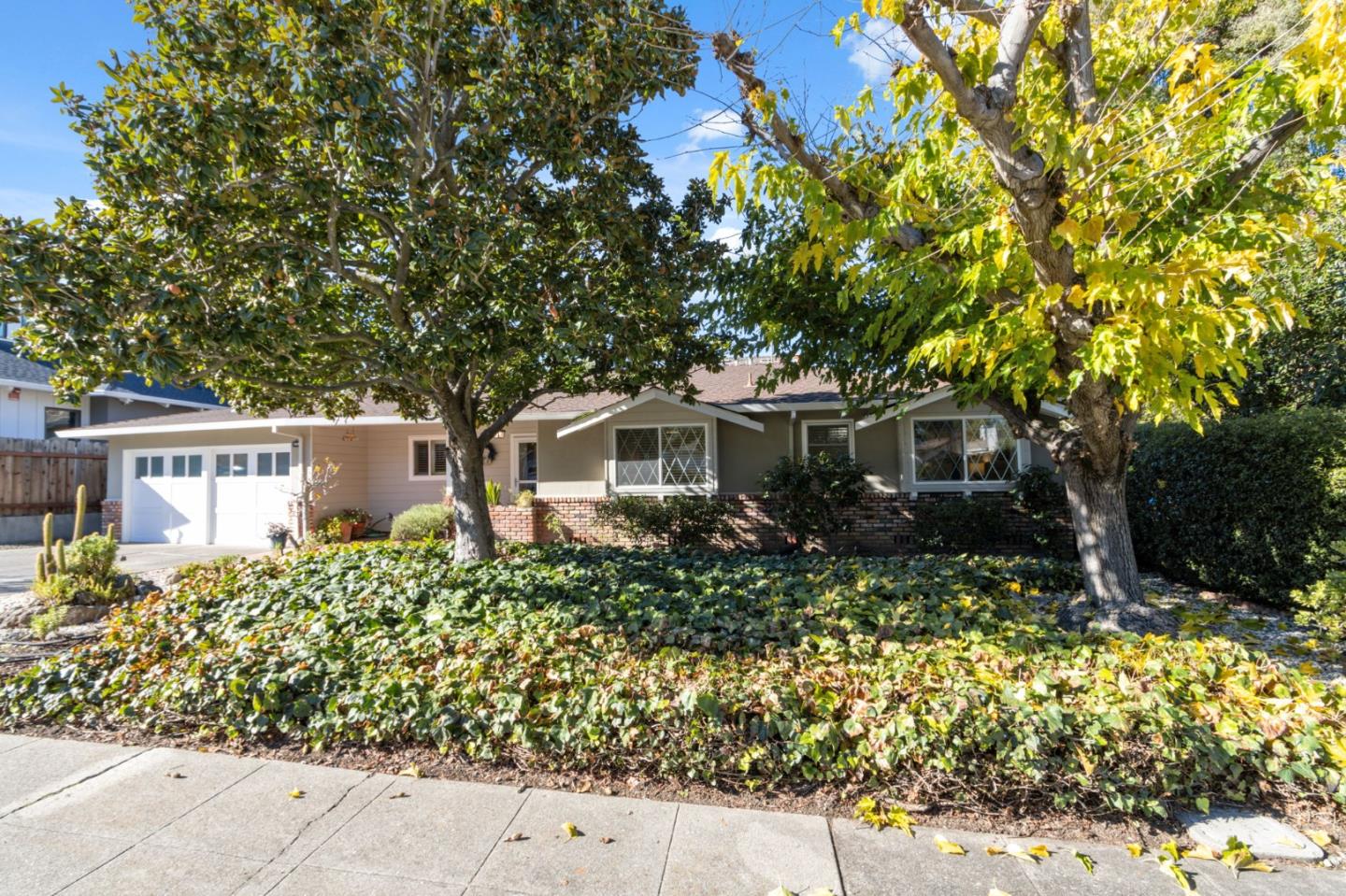 front view of a house with a tree