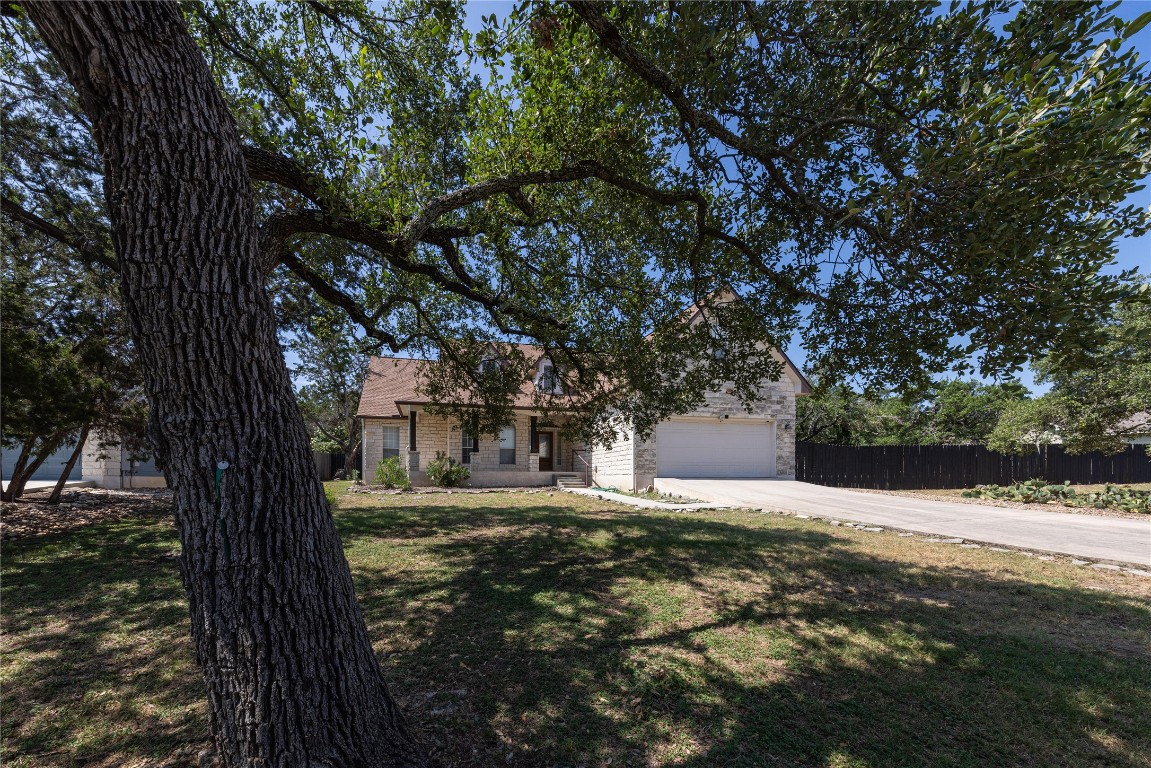 a view of tree with a yard