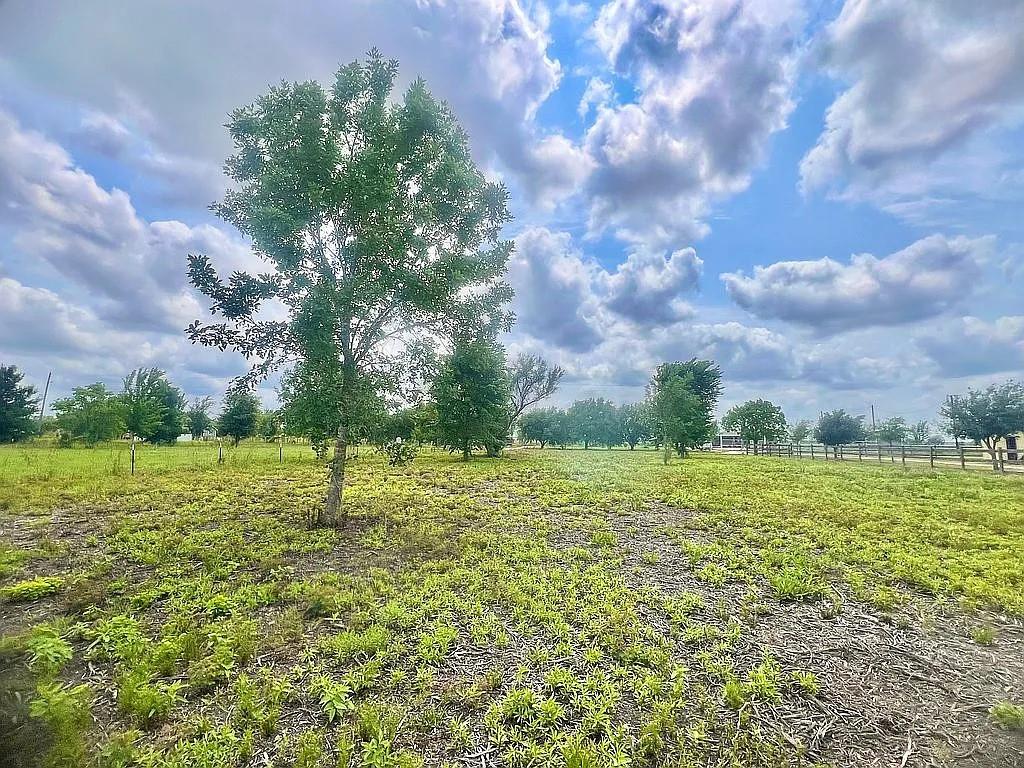 a view of a field with an trees