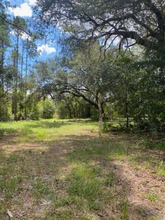 a view of a field with trees