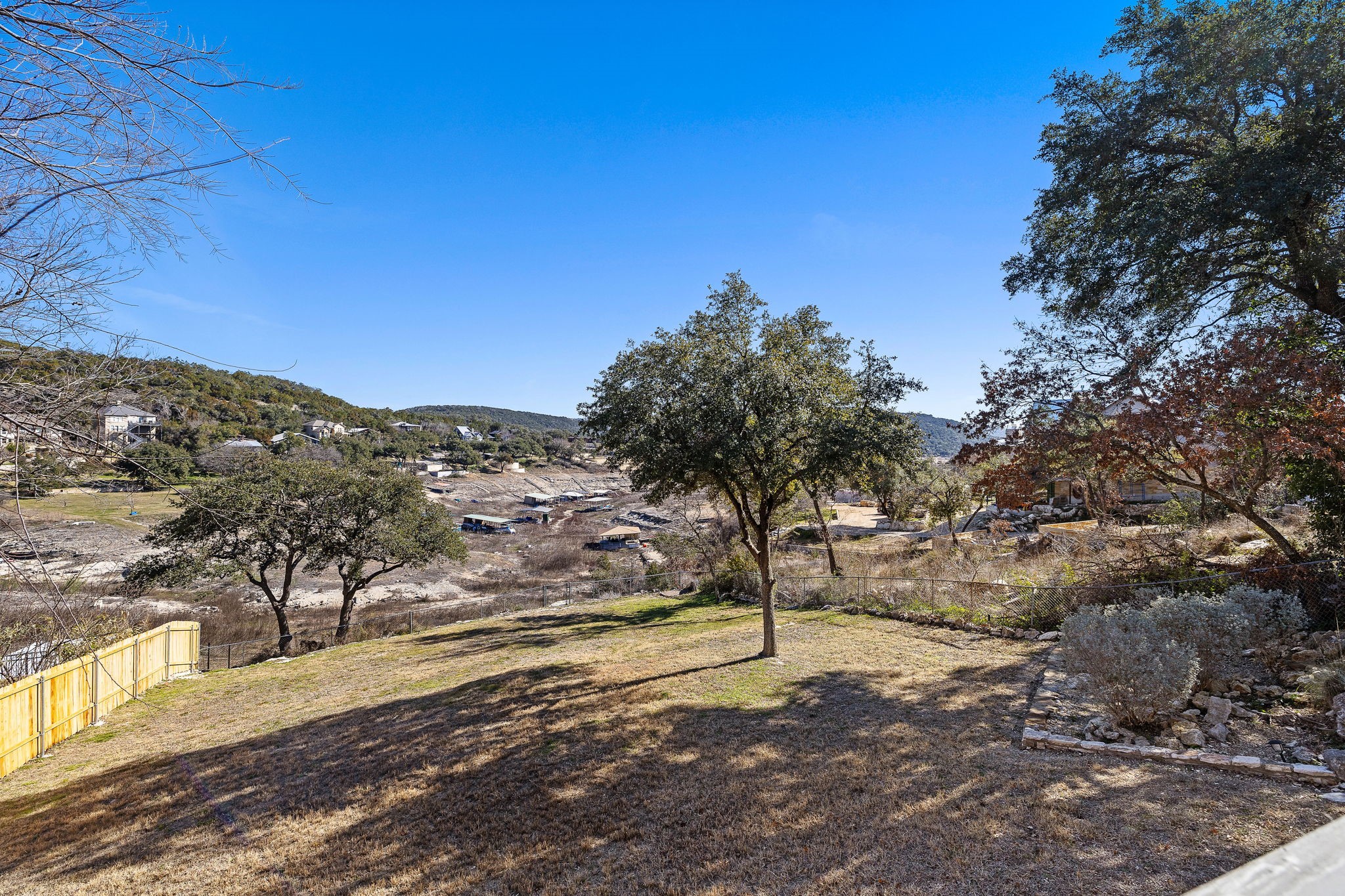 a view of a yard with a tree