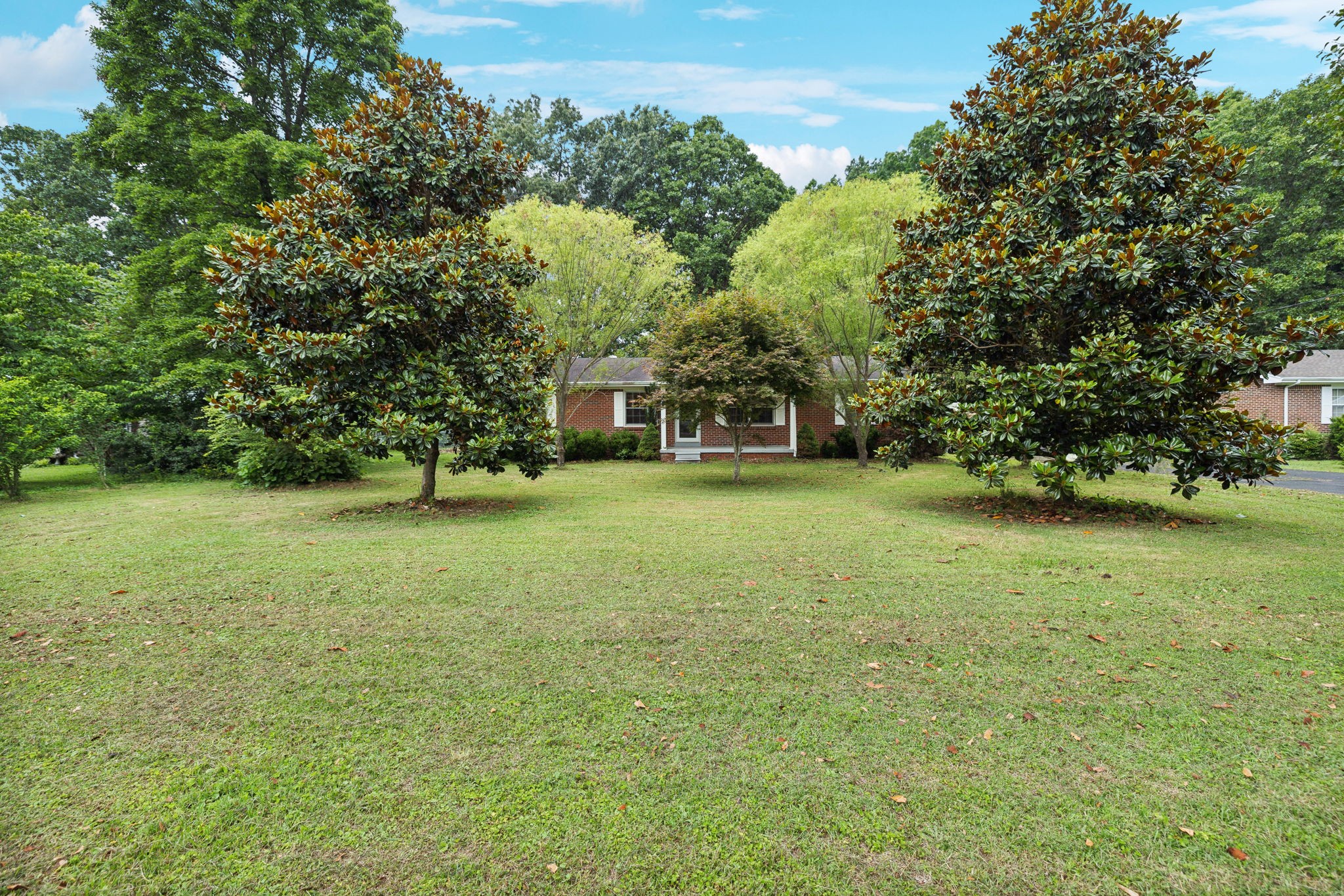 a view of a tree in front of a house