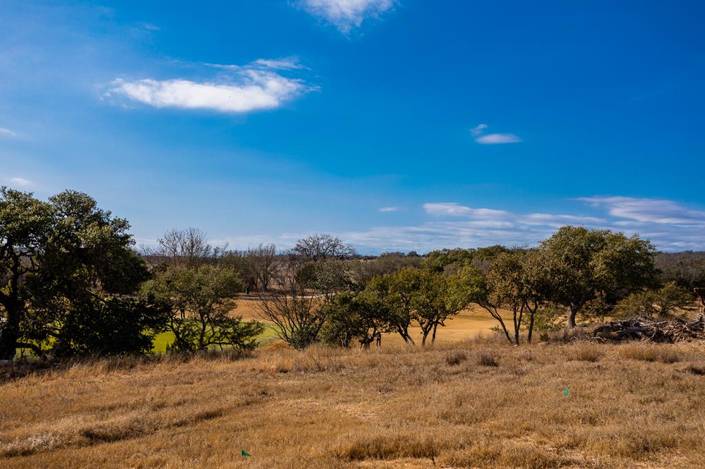 a view of mountain view with lots of trees