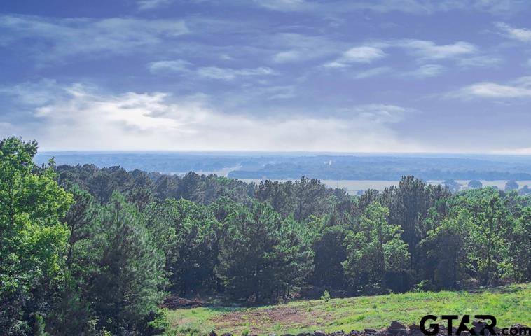 a view of a yard with mountains in the background