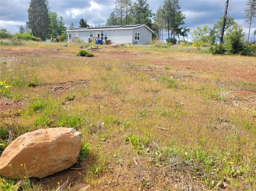 a view of outdoor space and yard