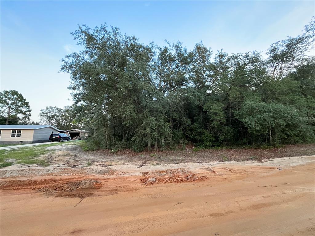 a view of a dirt road with trees in front of it