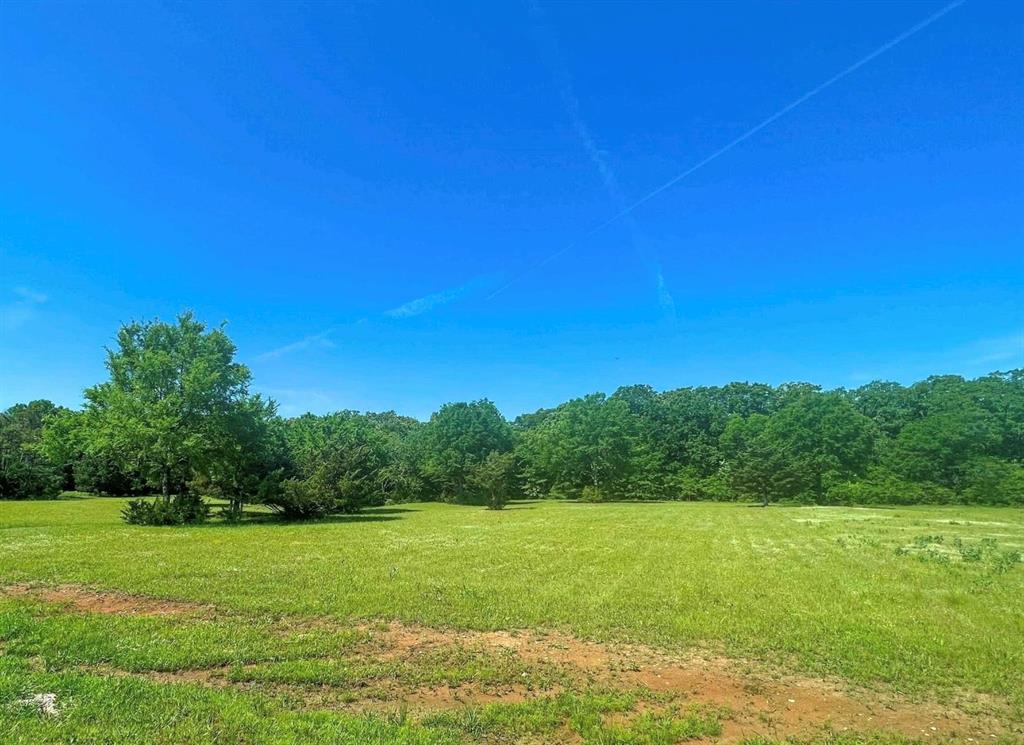 a view of a big yard