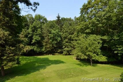 a view of yard with green space