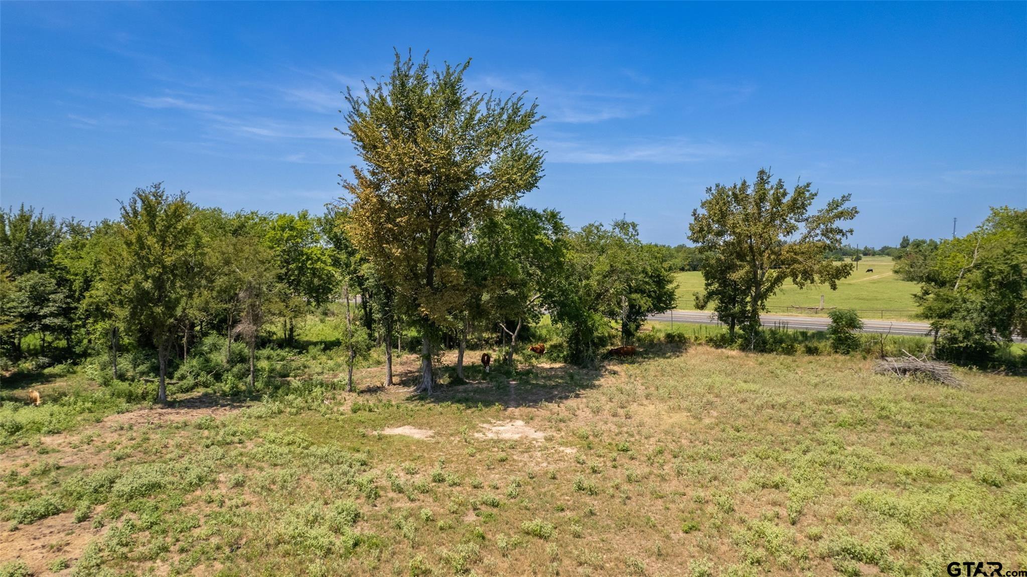 a view of a yard with a tree