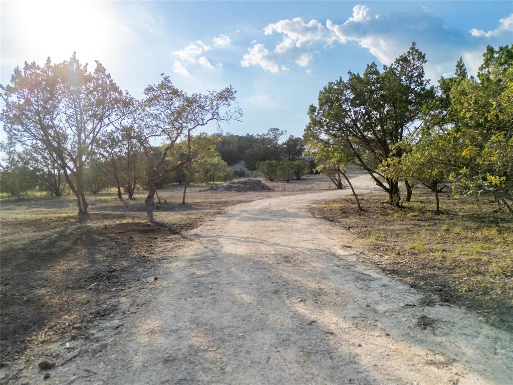 a view of dirt yard with large trees