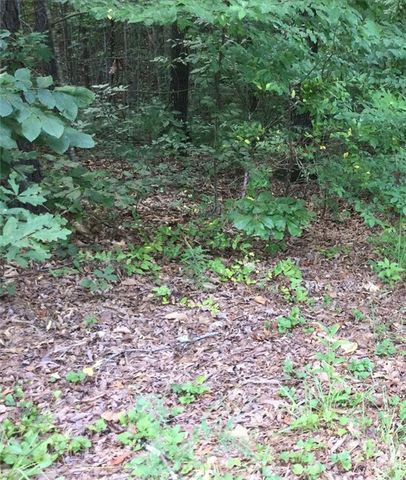 $13,500 | Lot 33 Den Ridge Drive | Walhalla