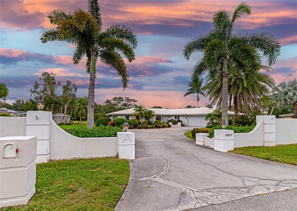 a view of a backyard