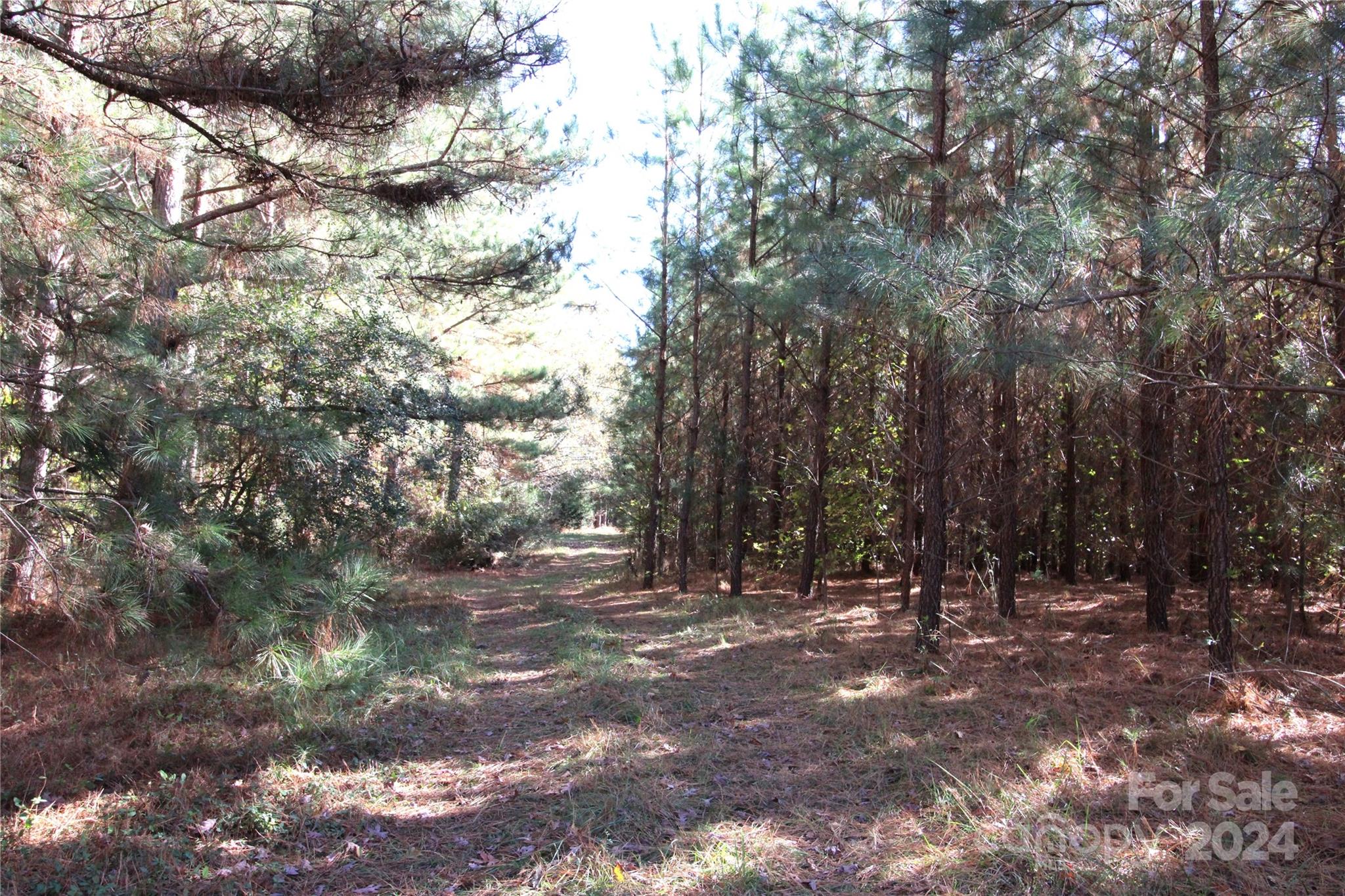 a view of outdoor space with trees