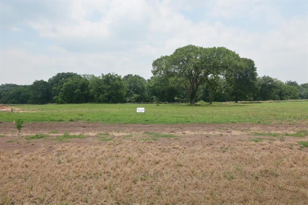 a view of a field with trees in the background