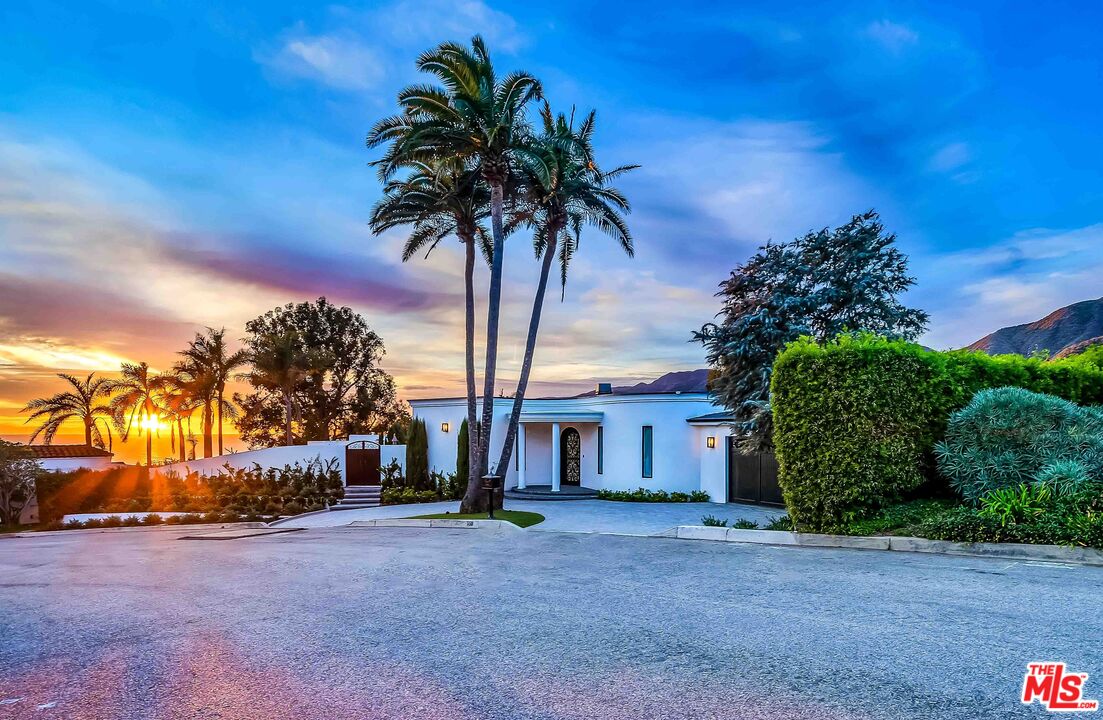 a palm tree sitting in front of a house with a yard