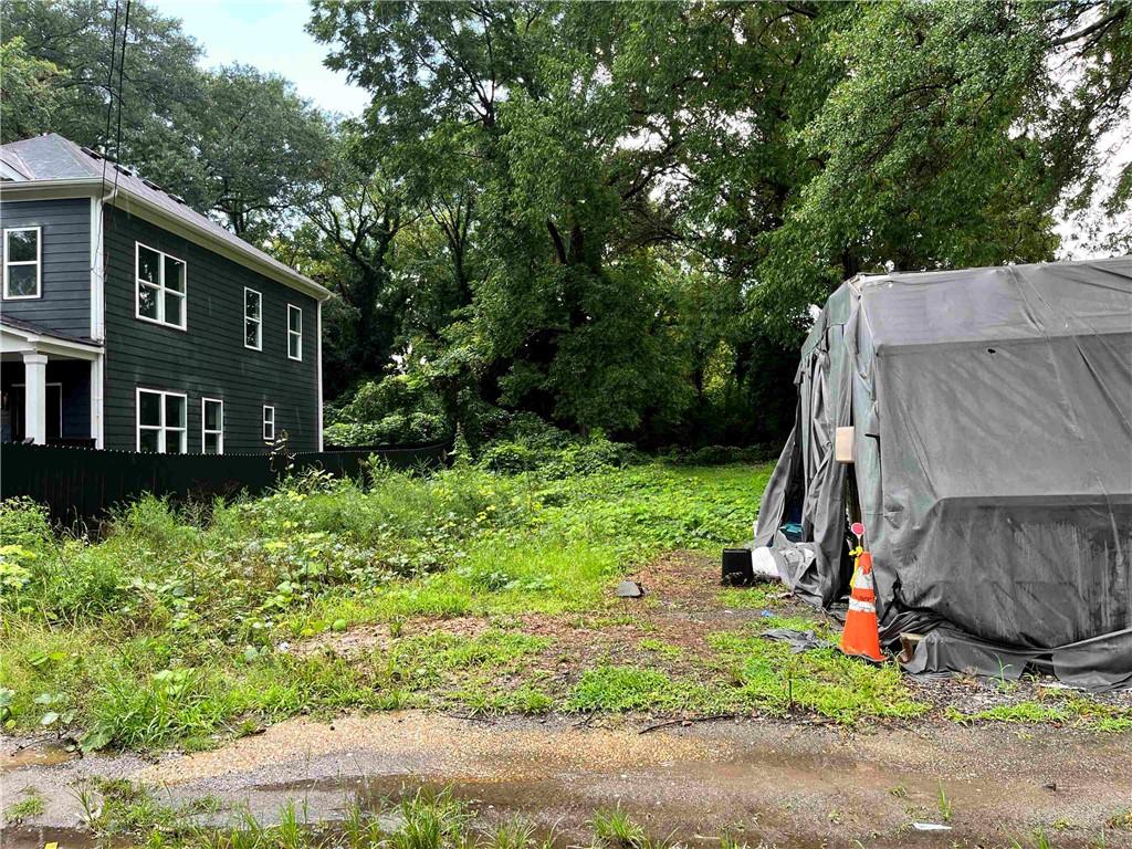 a view of backyard with a barn and a cactus plant