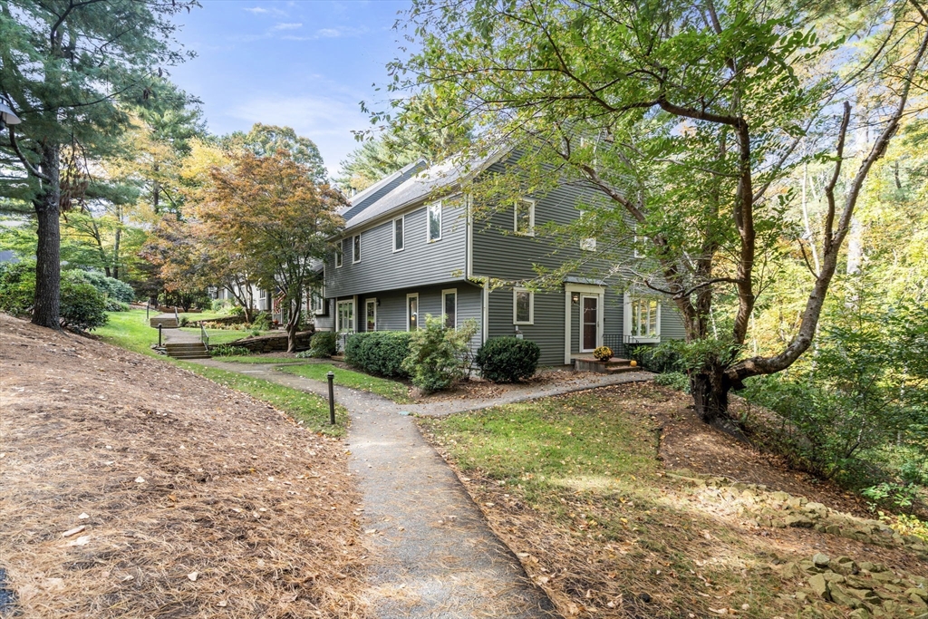 a front view of a house with a yard and tree s